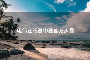 电鸽在线画中画官方步骤