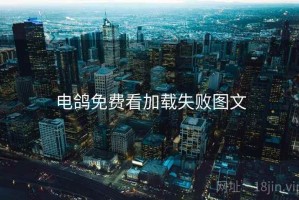 电鸽免费看加载失败图文