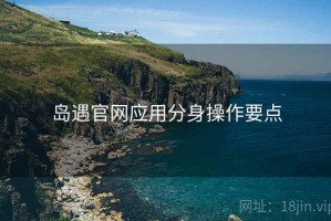 岛遇官网应用分身操作要点