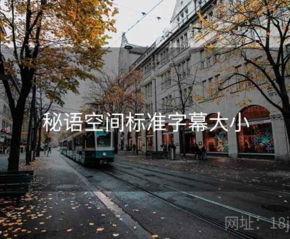 秘语空间标准字幕大小