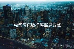 电鸽网页版横屏竖屏要点