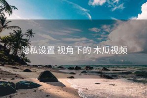 隐私设置 视角下的 木瓜视频
