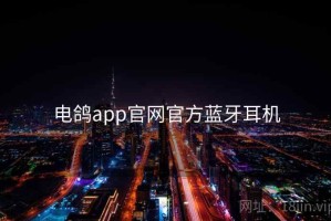 电鸽app官网官方蓝牙耳机