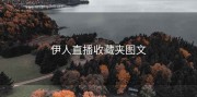 伊人直播收藏夹图文