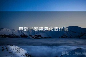 电鸽子安装包获取详解