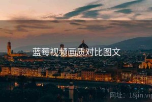 蓝莓视频画质对比图文