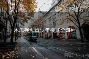 木瓜视频青少年模式全流程