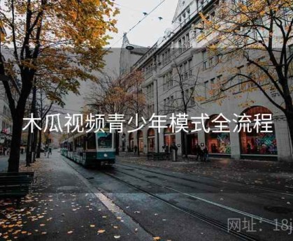 木瓜视频青少年模式全流程