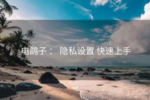 电鸽子 ： 隐私设置 快速上手