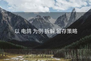 以 电鸽 为例 拆解 留存策略