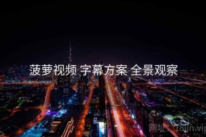 菠萝视频 字幕方案 全景观察
