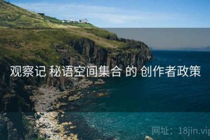 观察记 秘语空间集合 的 创作者政策