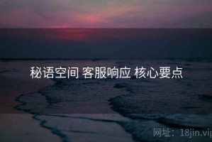 秘语空间 客服响应 核心要点