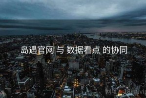岛遇官网 与 数据看点 的协同
