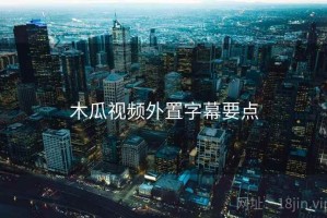 木瓜视频外置字幕要点