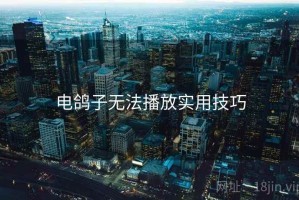 电鸽子无法播放实用技巧