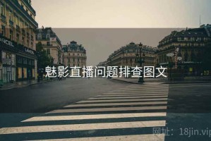 魅影直播问题排查图文