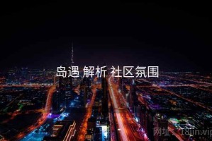 岛遇 解析 社区氛围