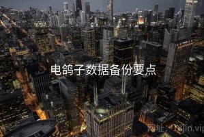 电鸽子数据备份要点