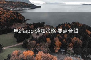 电鸽app 通知策略 要点合辑