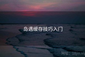 岛遇缓存技巧入门