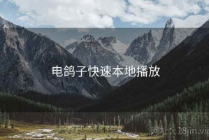 电鸽子快速本地播放