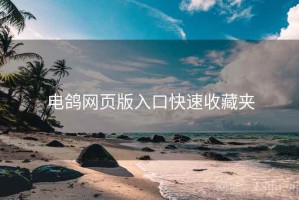电鸽网页版入口快速收藏夹