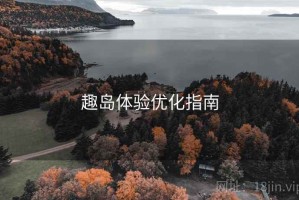 趣岛体验优化指南
