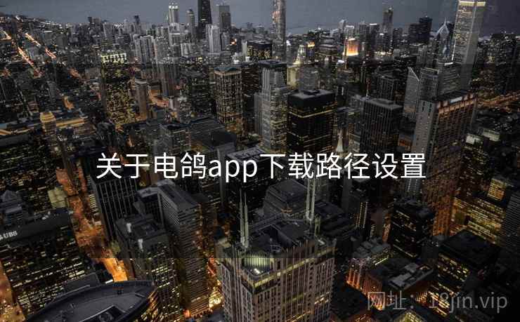 关于电鸽app下载路径设置