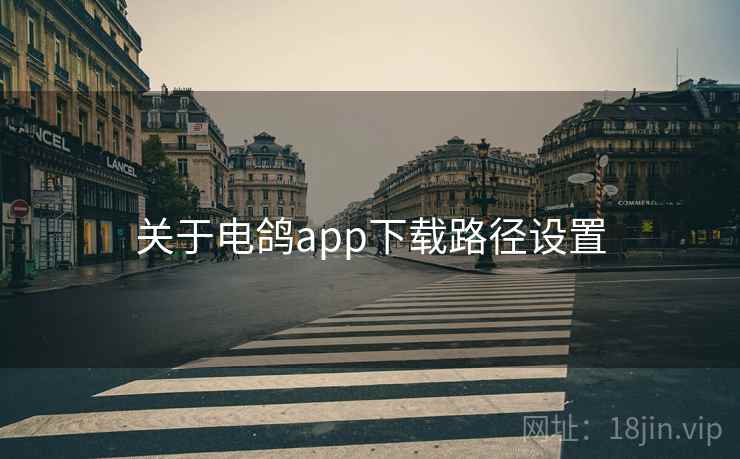 关于电鸽app下载路径设置
