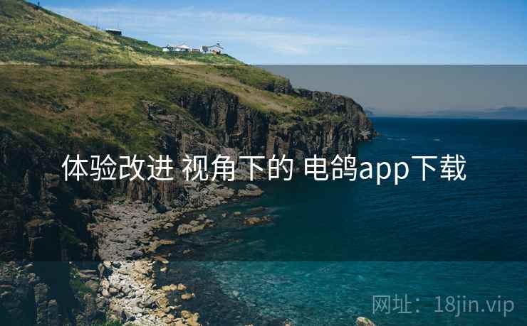 体验改进 视角下的 电鸽app下载