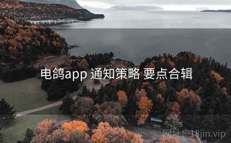 电鸽app 通知策略 要点合辑