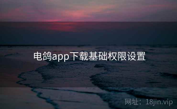电鸽app下载基础权限设置