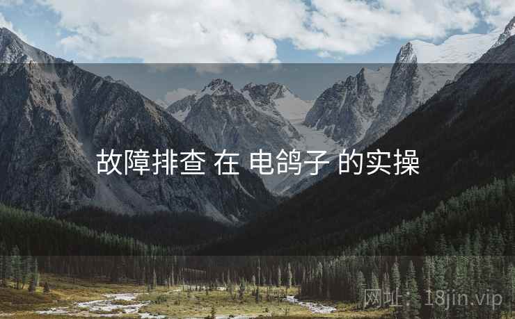 故障排查 在 电鸽子 的实操
