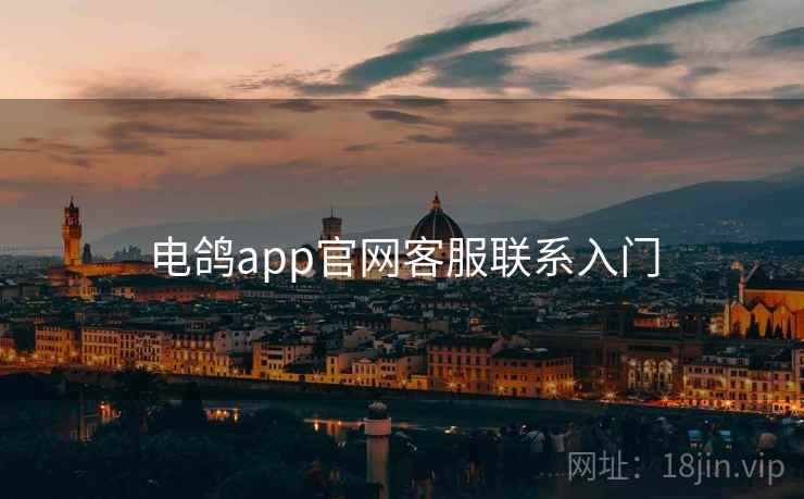 电鸽app官网客服联系入门