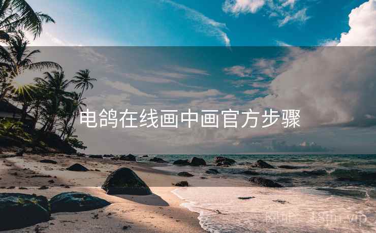 电鸽在线画中画官方步骤