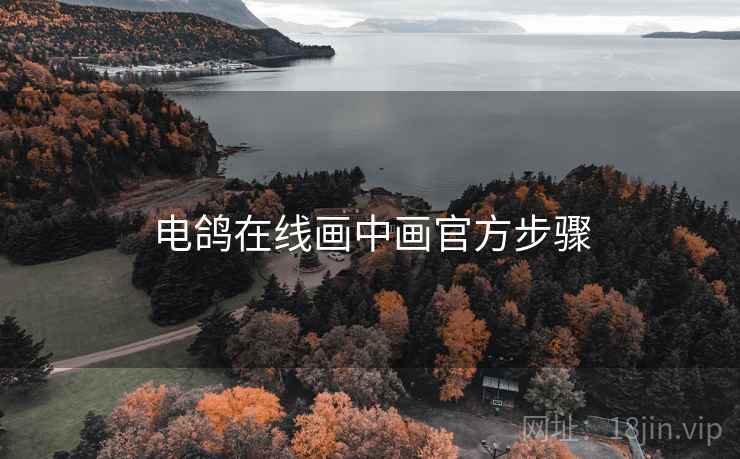 电鸽在线画中画官方步骤