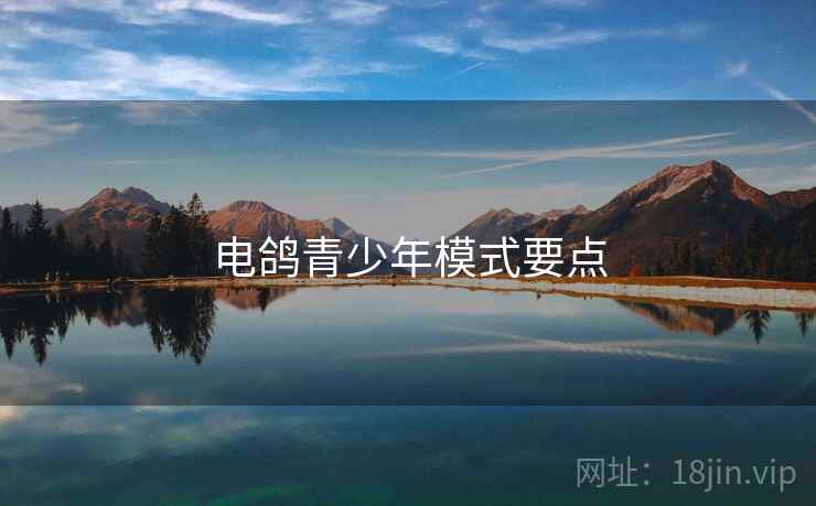 电鸽青少年模式要点