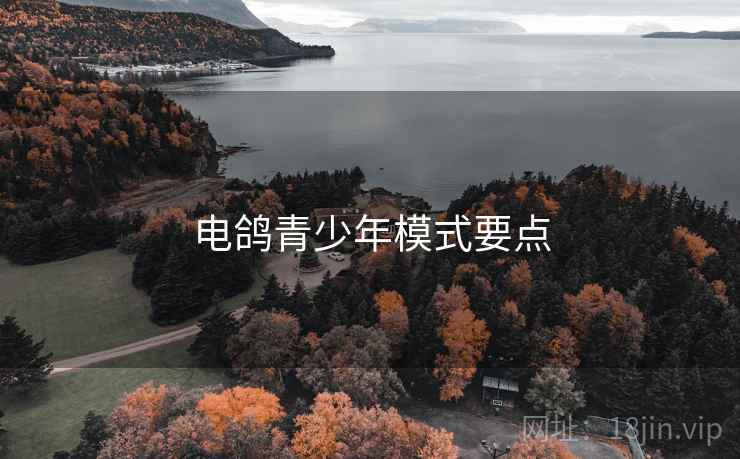 电鸽青少年模式要点
