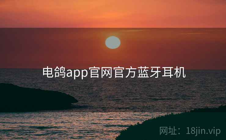 电鸽app官网官方蓝牙耳机