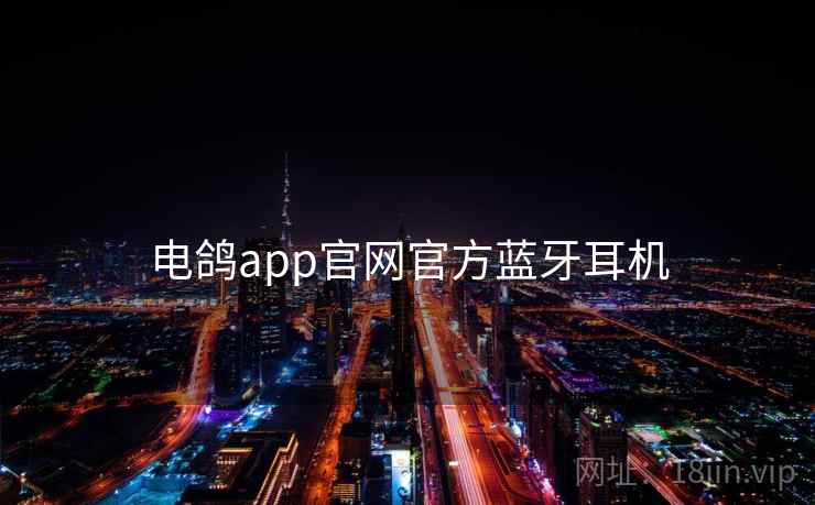 电鸽app官网官方蓝牙耳机