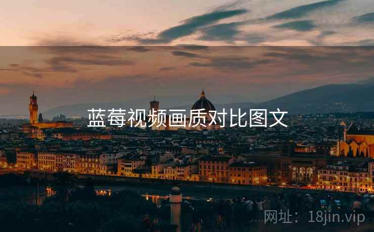 蓝莓视频画质对比图文