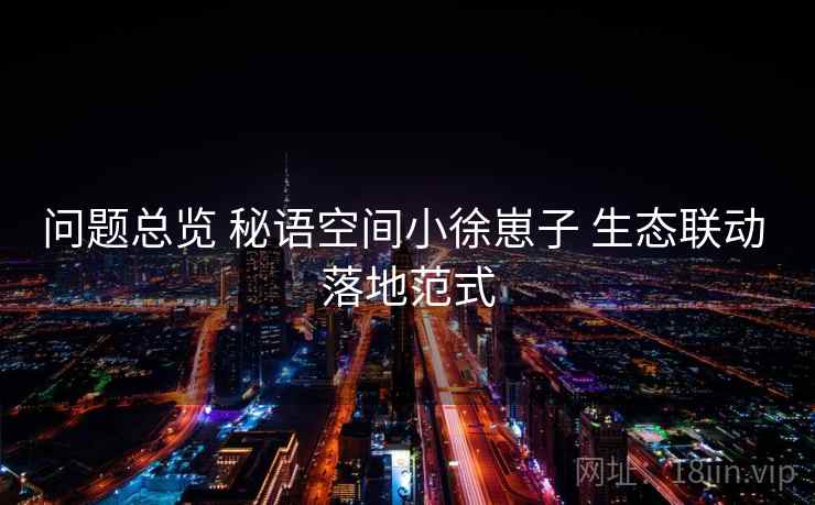 问题总览 秘语空间小徐崽子 生态联动 落地范式