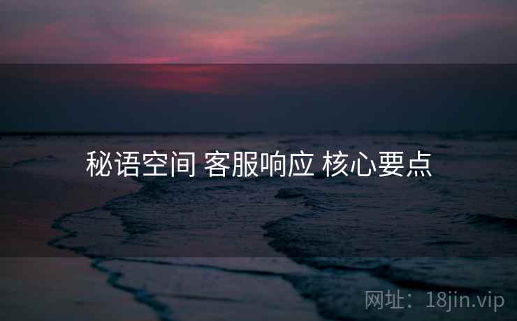 秘语空间 客服响应 核心要点