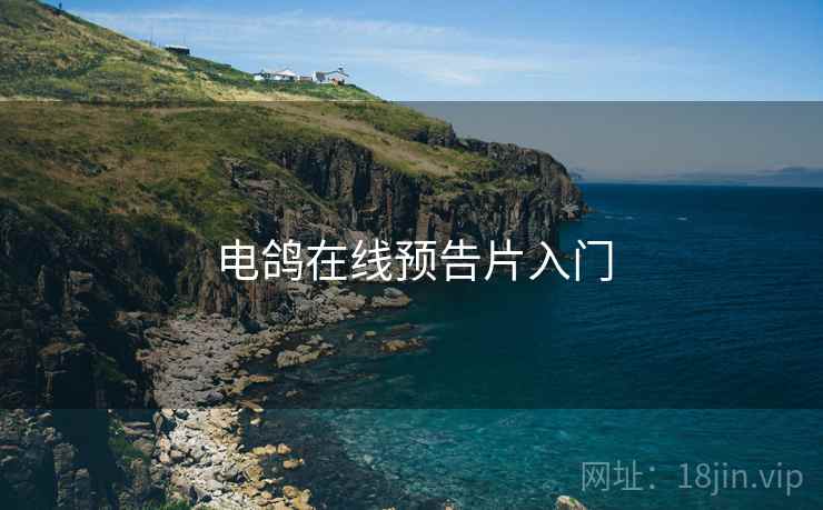 电鸽在线预告片入门
