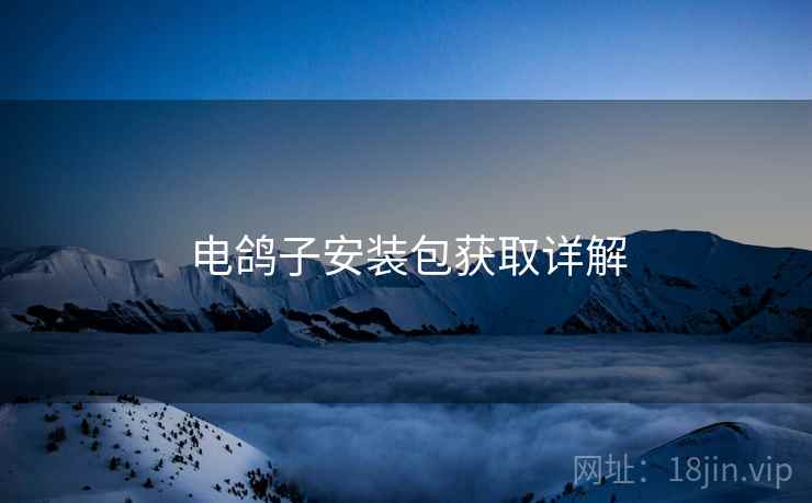 电鸽子安装包获取详解