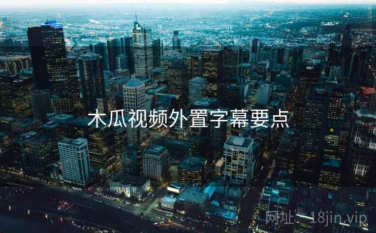 木瓜视频外置字幕要点