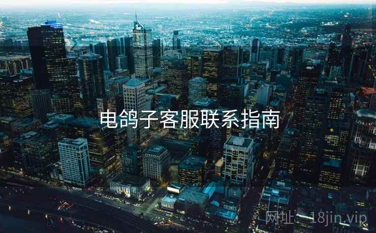 电鸽子客服联系指南