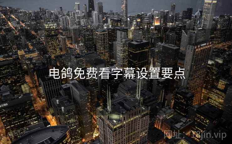 电鸽免费看字幕设置要点