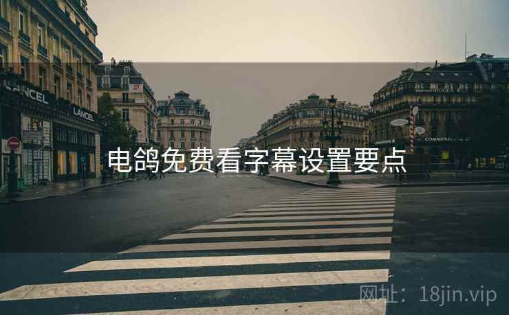 电鸽免费看字幕设置要点